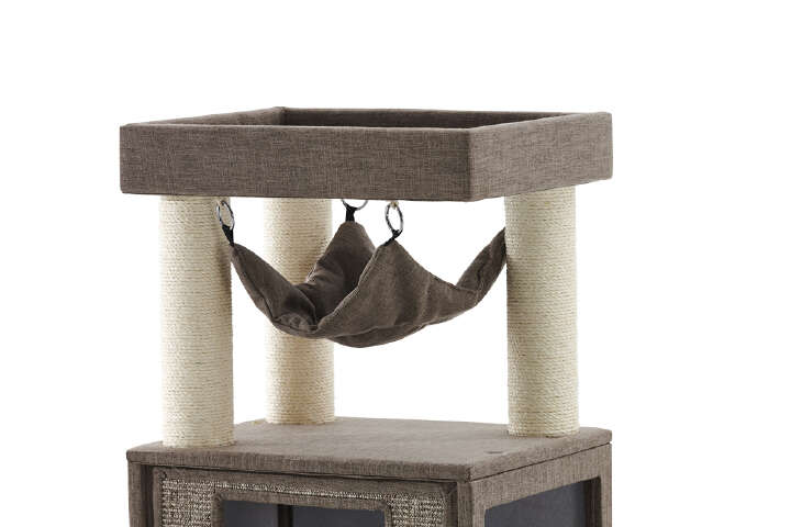 Nobby Kratzbaum Kasil